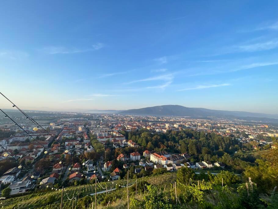 Studio With A View On City Center Park มาริบอร์ ภายนอก รูปภาพ